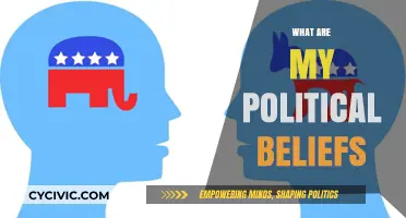 Exploring My Political Beliefs: Values, Ideologies, and Personal Convictions