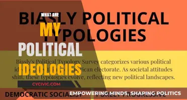 Exploring My Political Beliefs: A Personal Journey of Ideologies