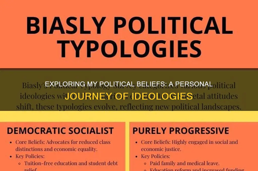 what are my political ideologies