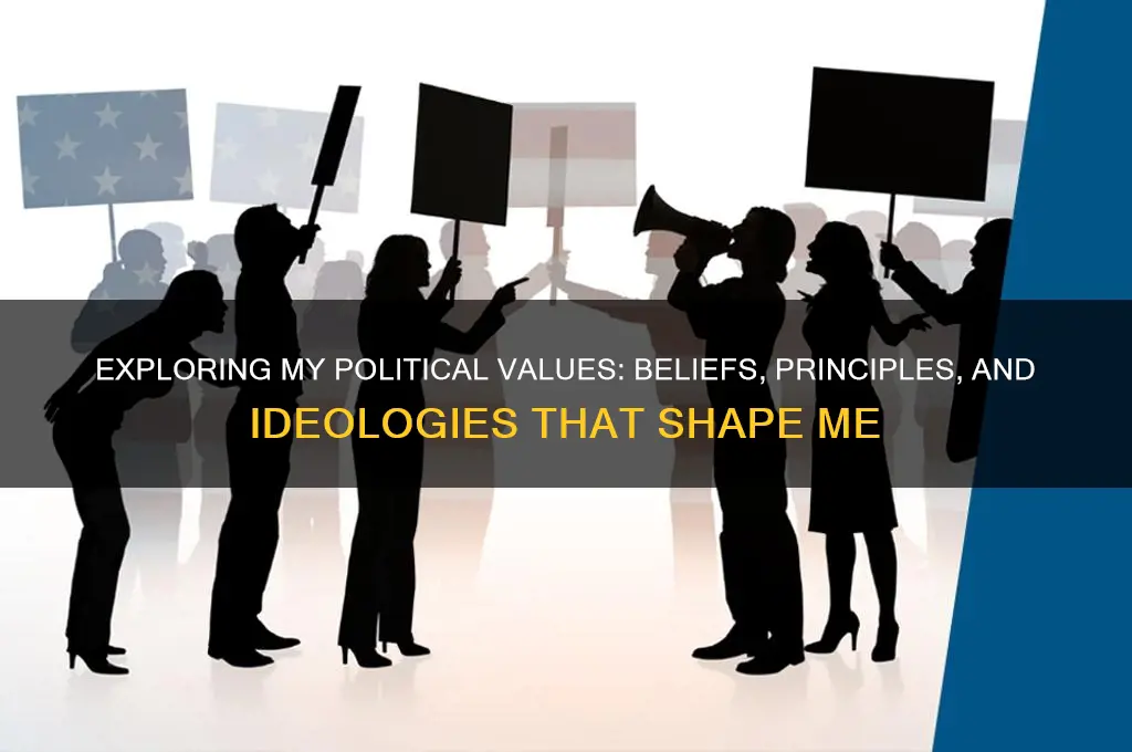 what are my political values
