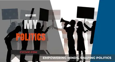 Exploring My Political Beliefs: Values, Ideologies, and Personal Stance