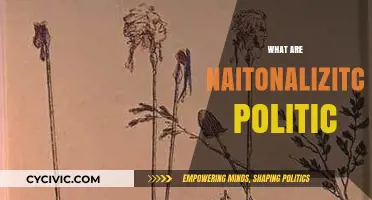 Understanding Nationalistic Politics: Ideologies, Impact, and Global Influence