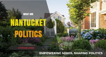 Exploring Nantucket's Unique Political Landscape: History, Issues, and Local Governance