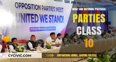 Understanding National Political Parties: A Class 10 Comprehensive Guide
