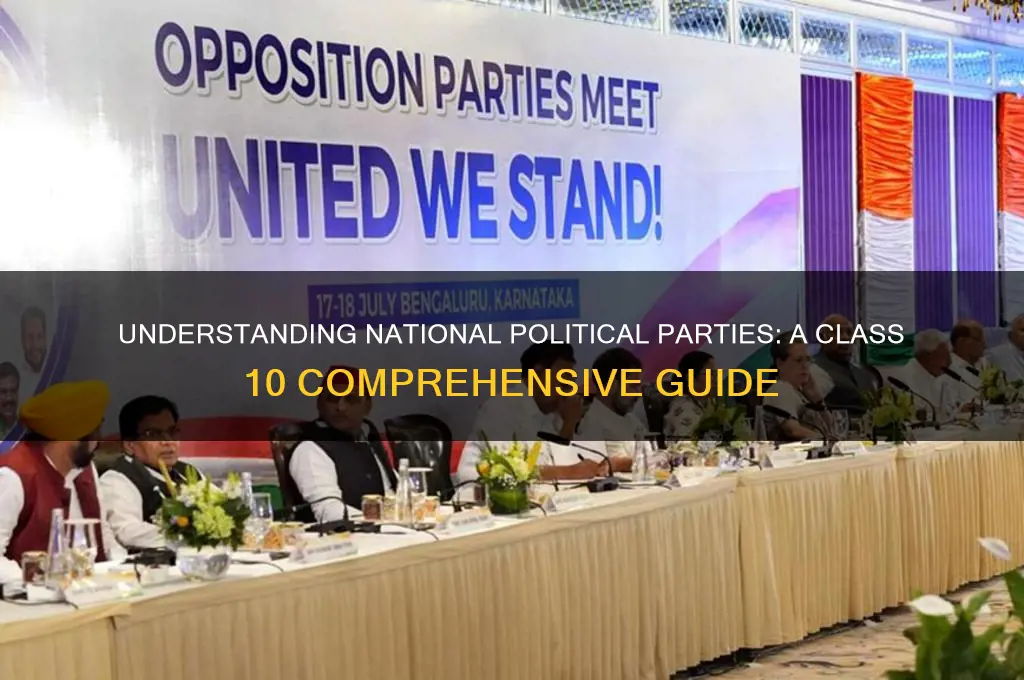 what are national political parties class 10