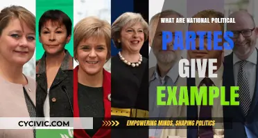 Understanding National Political Parties: Definitions, Roles, and Key Examples