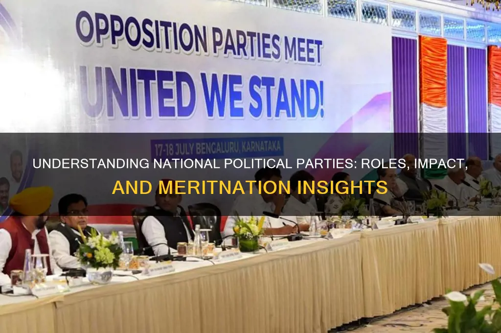 what are national political parties meritnation
