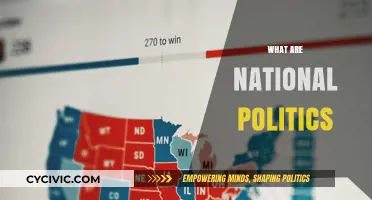Understanding National Politics: Power, Policies, and Public Influence Explained