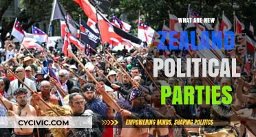 Exploring New Zealand's Political Parties: Ideologies, Leaders, and Influence