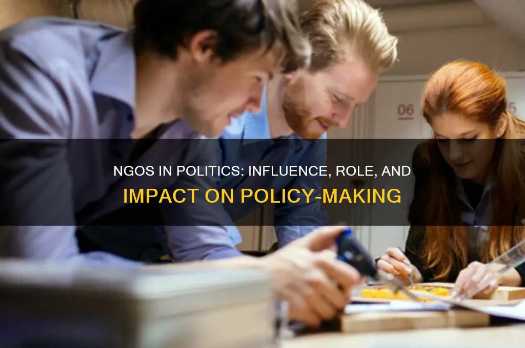what are ngos in politics