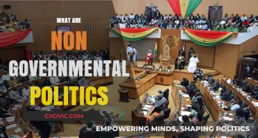Understanding Non-Governmental Politics: Roles, Influence, and Global Impact