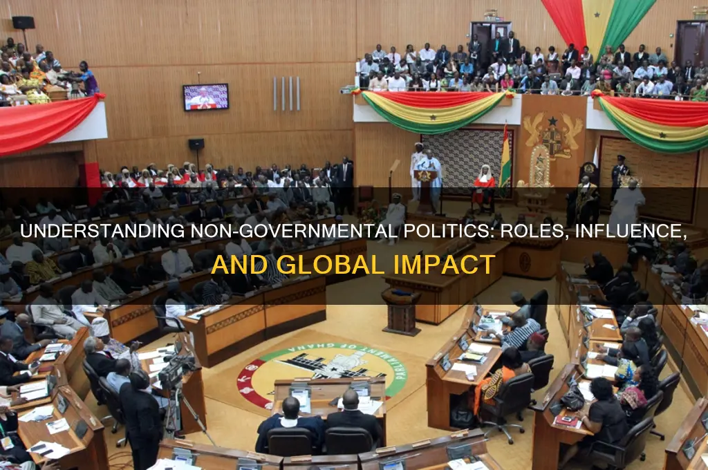 what are non governmental politics