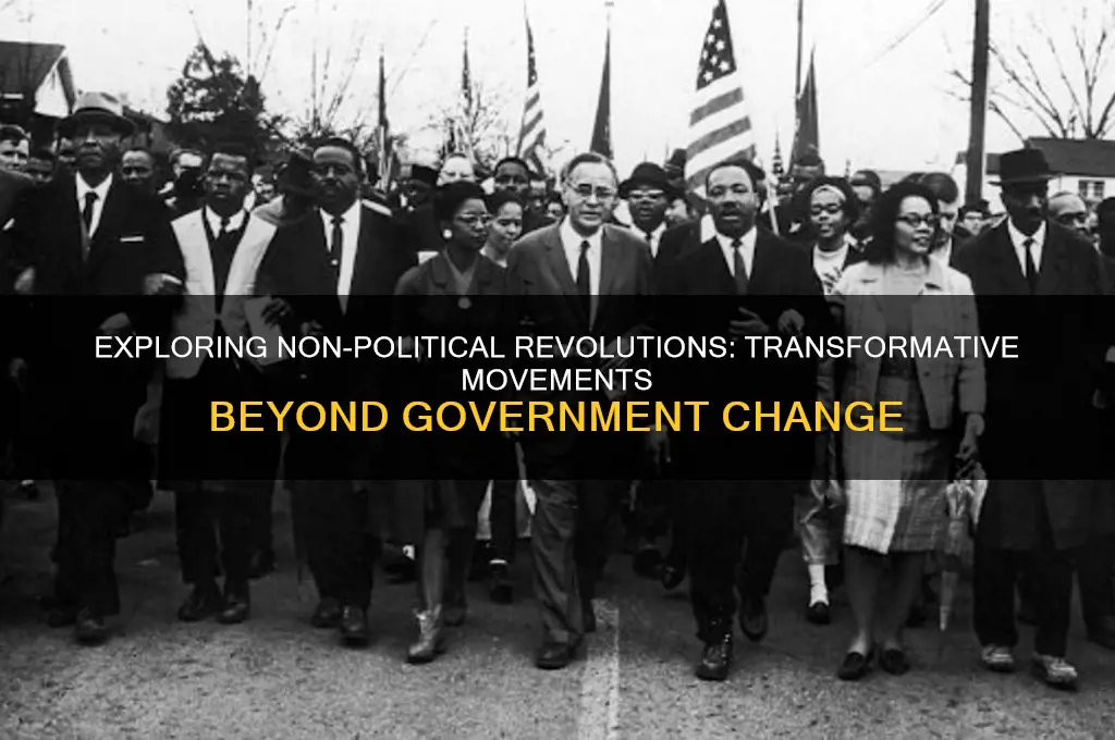 what are non political revolutions
