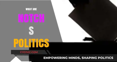 Exploring Notch's Political Views: A Deep Dive into His Beliefs