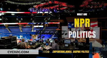 Understanding NPR Politics: Coverage, Influence, and Public Discourse Explained