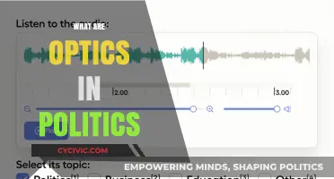 Understanding Political Optics: How Appearance Shapes Public Perception and Policy