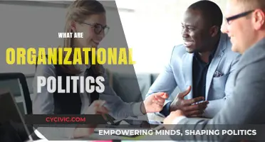Understanding Organizational Politics: Navigating Workplace Dynamics and Power Structures