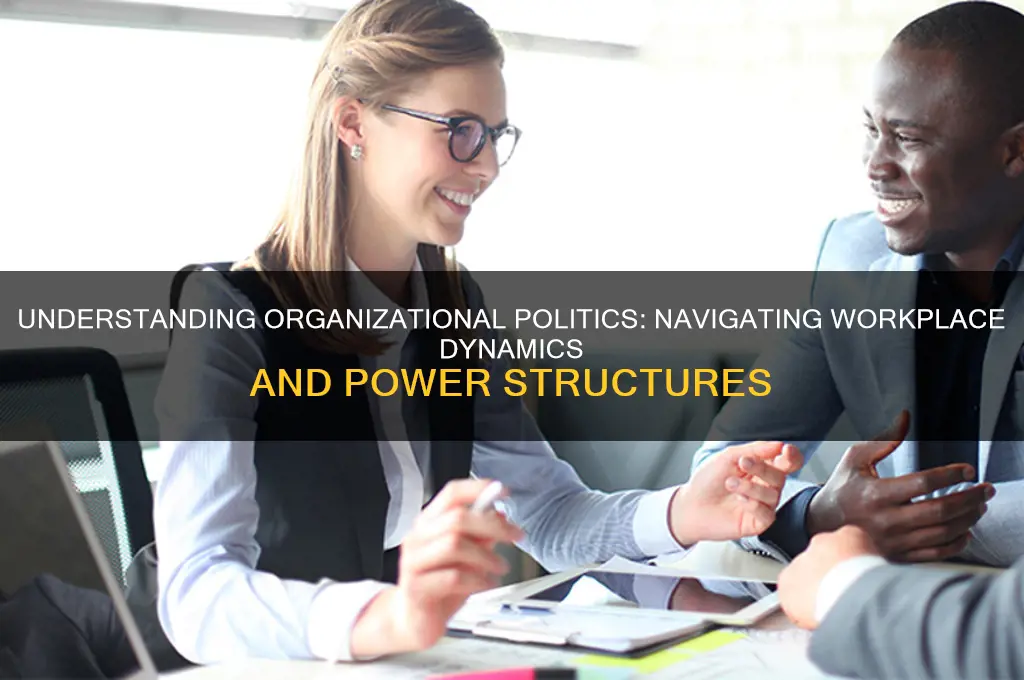 what are organizational politics