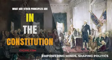 Constitution Principles: Exploring the Fundamentals