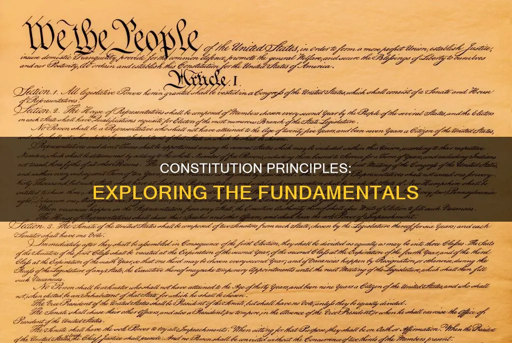 what are other principles are in the constitution