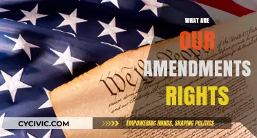 Amendments: Our Constitutional Rights and Freedoms