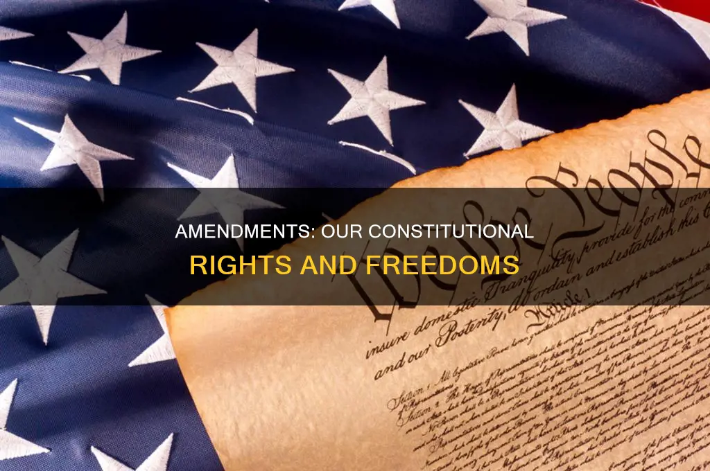 what are our amendments rights