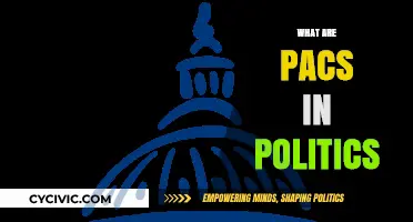 Understanding Political Action Committees (PACs): Their Role and Influence