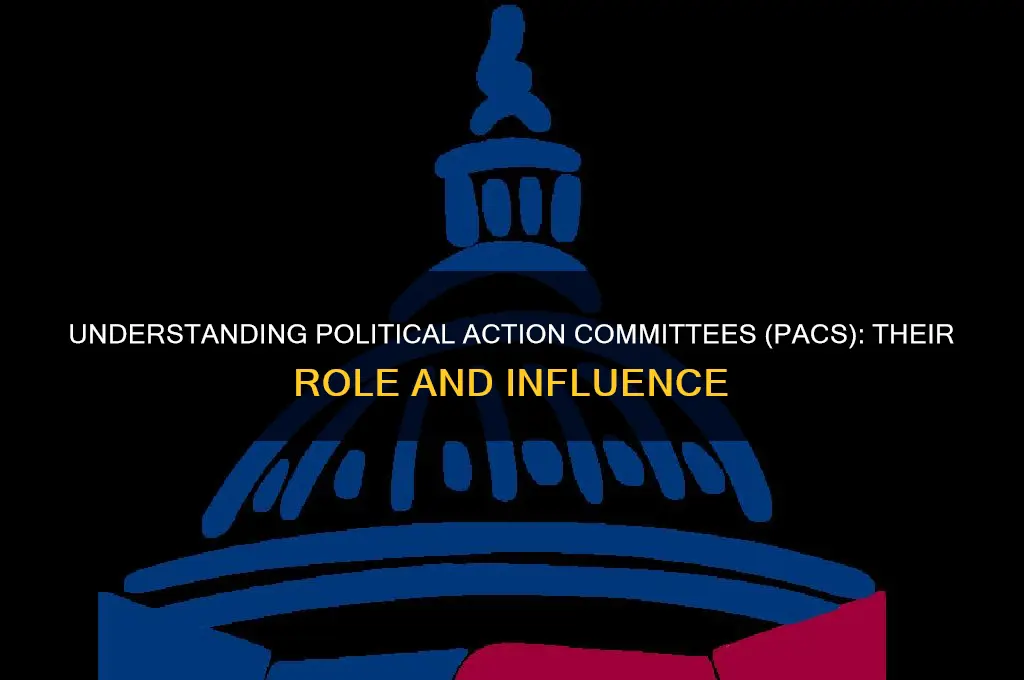 what are pacs in politics