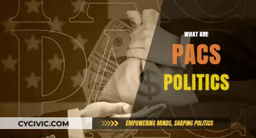Understanding PACS Politics: Campaign Finance, Influence, and Elections Explained