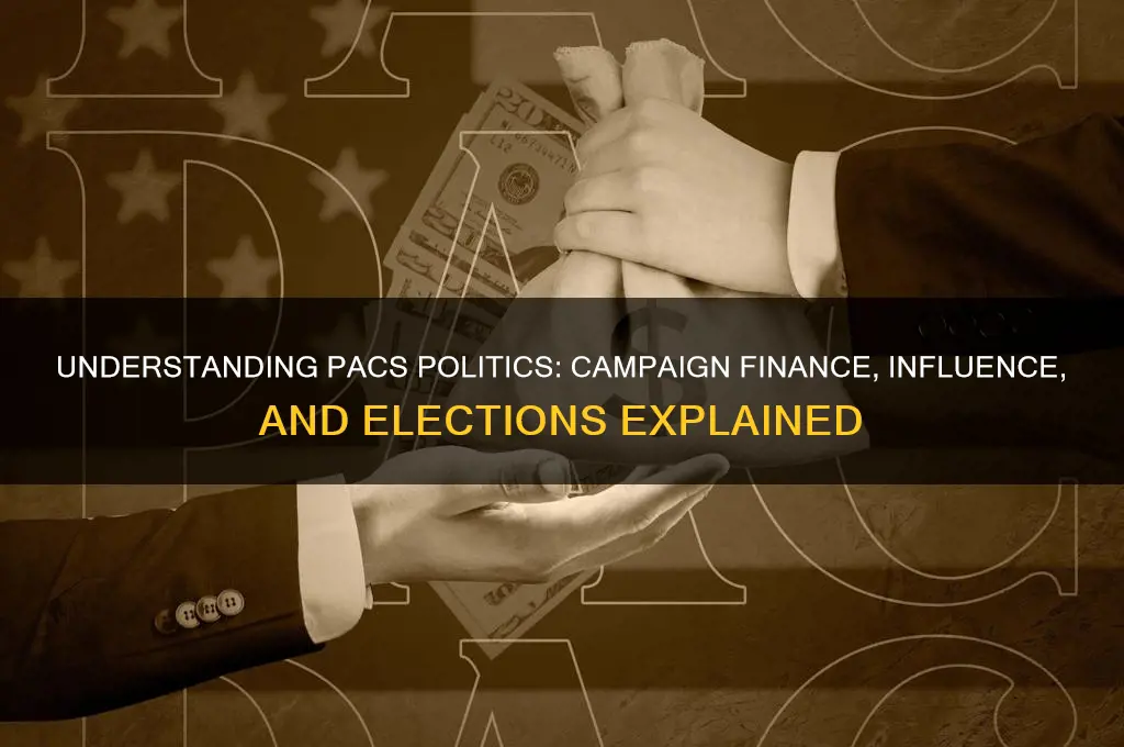 what are pacs politics