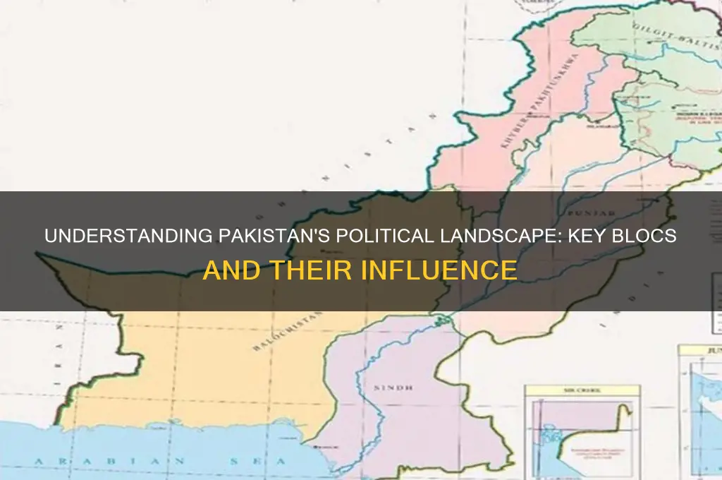 what are pakistans political blocks