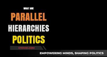 Understanding Parallel Hierarchies: Power Structures in Modern Politics Explained