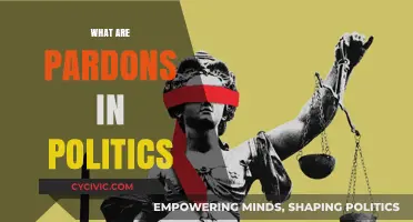 Understanding Political Pardons: Power, Clemency, and Their Impact on Justice