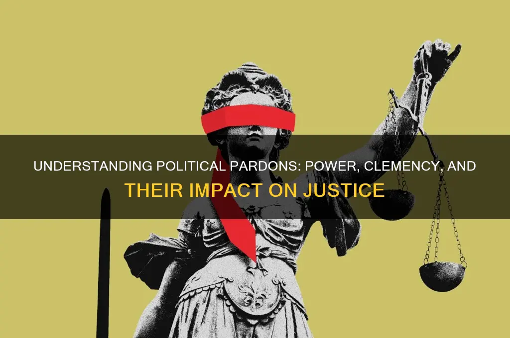 what are pardons in politics