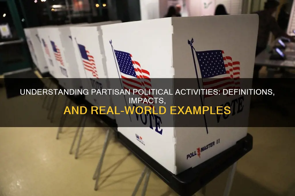 what are partisan political activities