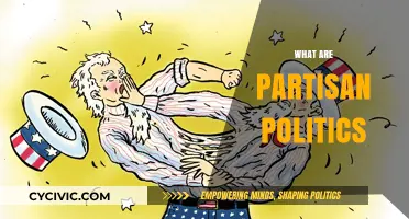 Understanding Partisan Politics: Divides, Impacts, and Bridging the Political Gap