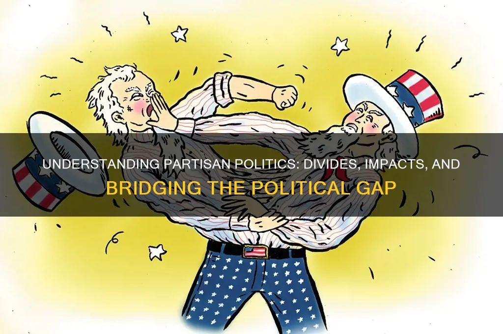 what are partisan politics