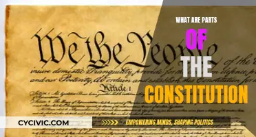 Understanding the Framework: Constitution's Key Components