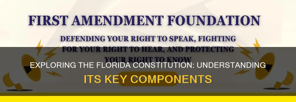 what are parts of the florida constitution