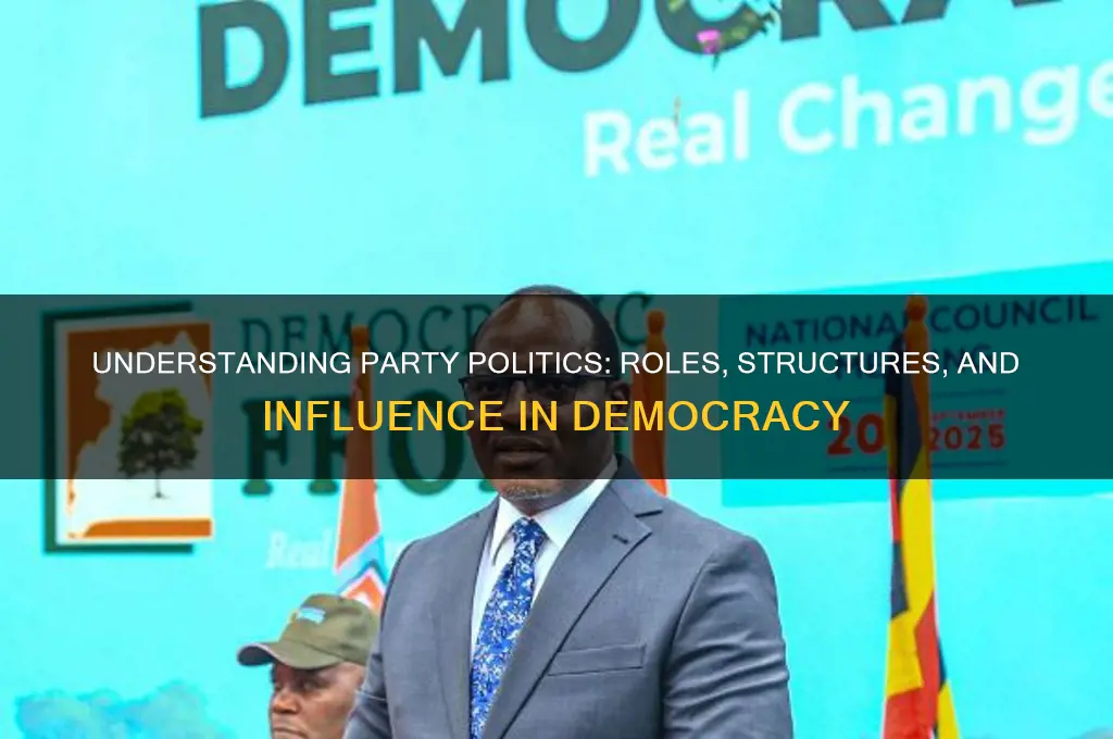 what are party politics