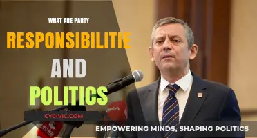 Understanding Party Responsibilities and Political Dynamics in Modern Governance
