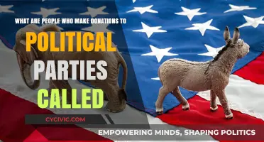 Political Donors: Understanding the Role of Party Contributors