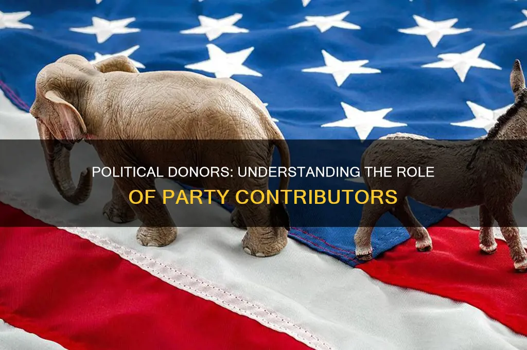 what are people who make donations to political parties called