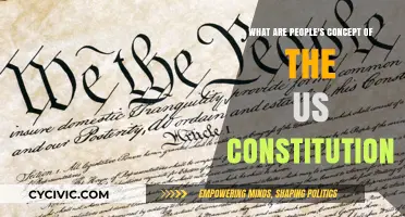 Americans' Understanding of the Constitution