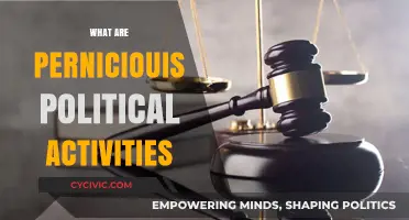 Unveiling the Dark Side: Understanding Pernicious Political Activities