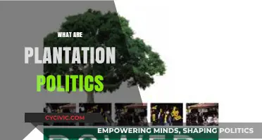 Understanding Plantation Politics: Power, History, and Modern Implications Explained