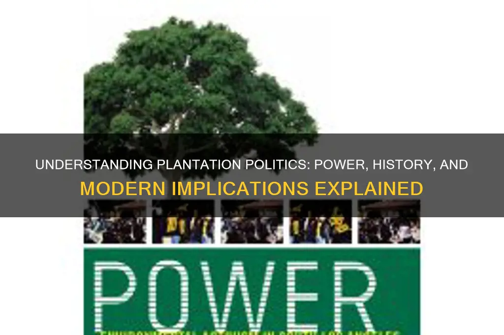 what are plantation politics