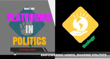 Understanding Political Platforms: Core Principles Shaping Policies and Campaigns