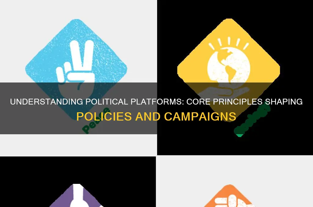 what are platforms in politics