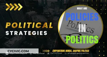 Understanding Political Policies: Frameworks Shaping Governance and Society